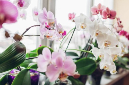 ������� ��������� ����� �� ��������� � �������������� ��������