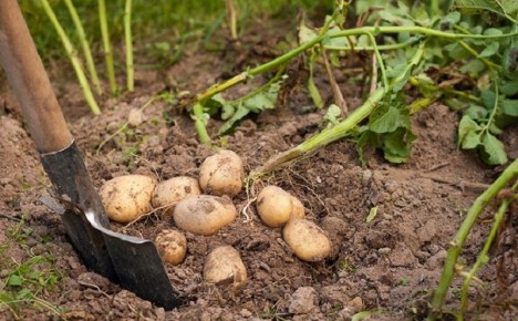 ��� ����������� ������� ��� ���������: ������� ��� �������� ������