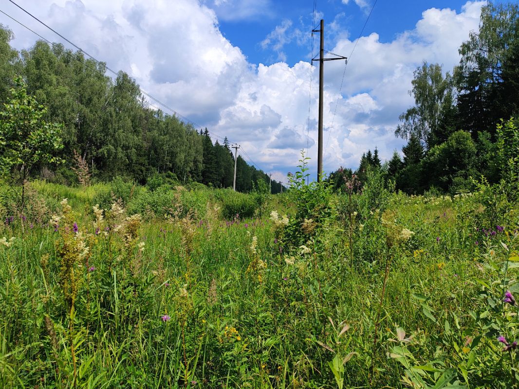 ������ �����������: ��� �������� ����� ������