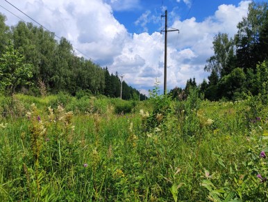 ������ �����������: ��� �������� ����� ������