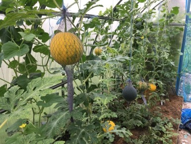 ��������� ���������: ��� ������������� ��������� ���������� �� ����� ���������� � ���������