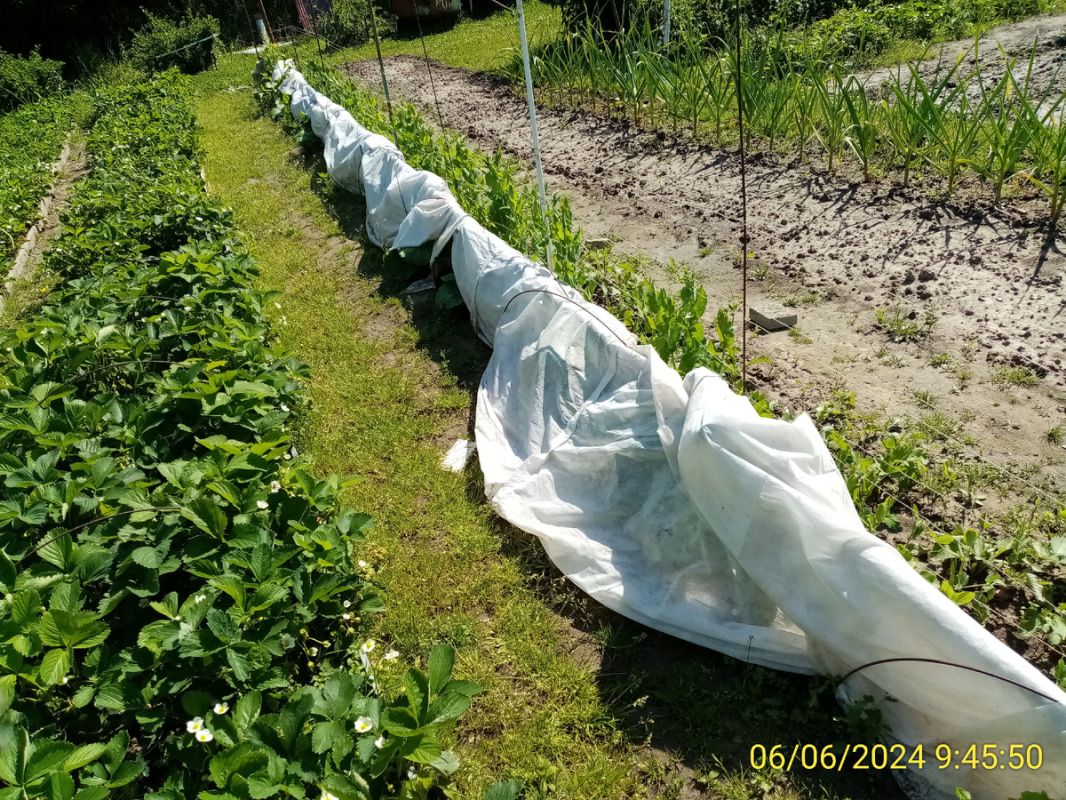 ������� ������� ������ ������� ���������