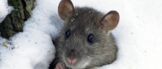 ����������� ������ � ��������� �� ����