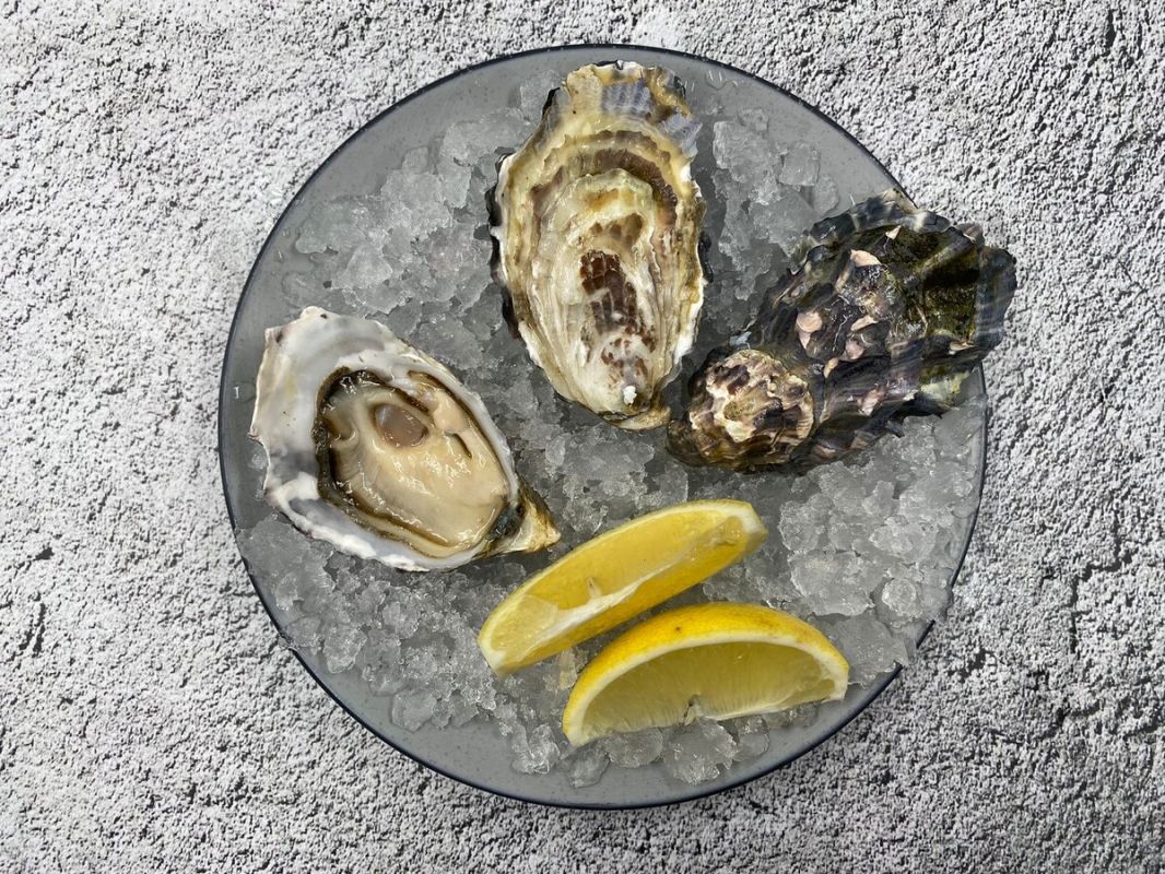 ������� �����: ������������ ������� �� �������