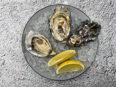 Розовая Джоли: экзотическая устрица из Намибии