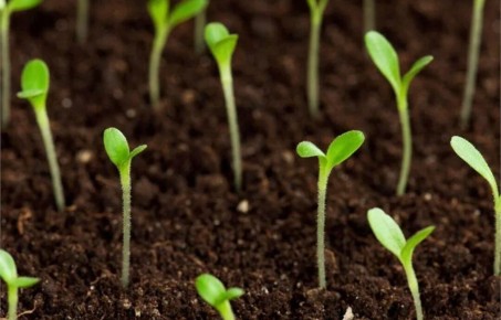 ������� �������������� �����: ��� �������� ����������� ����� ��������