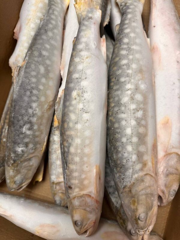 ������: ������������� ������� ������, ������� �� ������� �����������