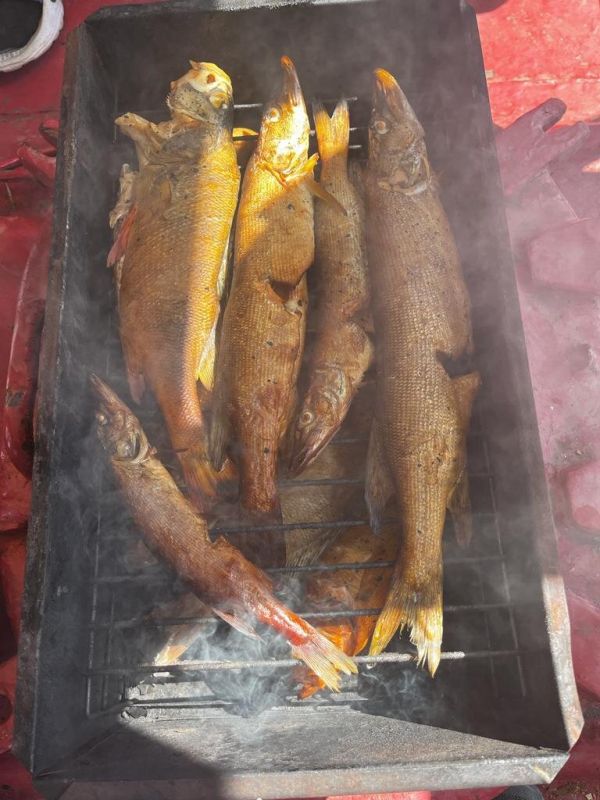 ��� ������ � ������� ����: ������� ������������� �������� ����������