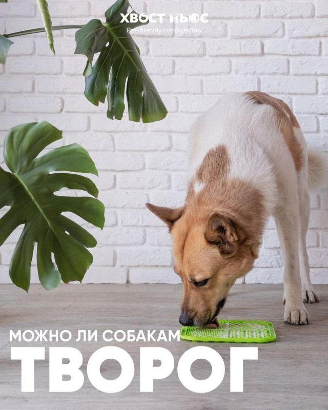 ����� �� ������ ������ ������: ���� � ����������