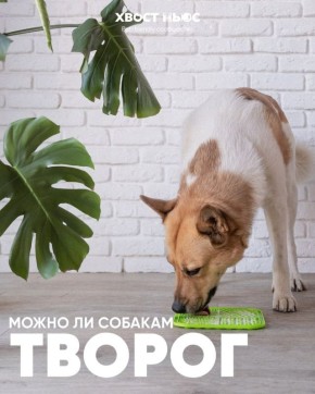 ����� �� ������ ������ ������: ���� � ����������