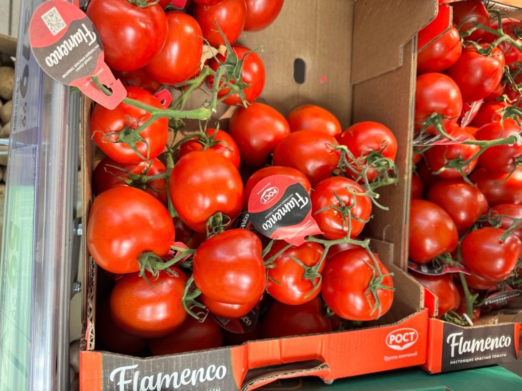 ��� ������� ��������� ������ ������: ����� ������ �����