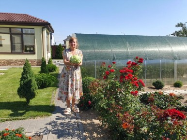 ������ �� ����� �������: ��� ��������� ������ �� �����