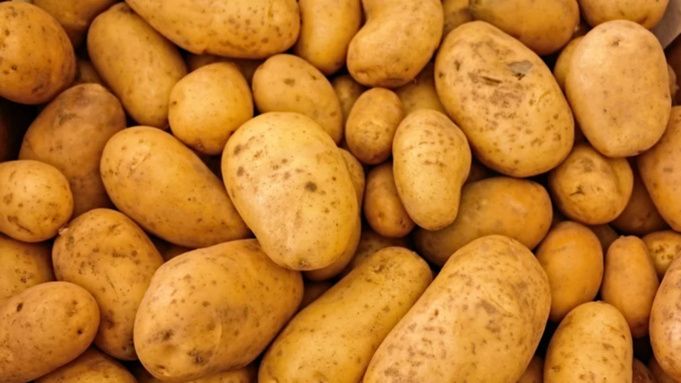 ��� ��������� �������� ���������: ������ ���� ������