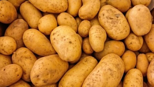 ��� ��������� �������� ���������: ������ ���� ������