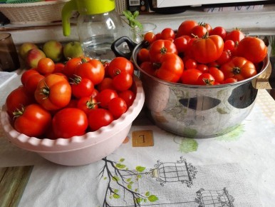 ��� ��������� �������� ������� �� ������ ����: ������� � ������