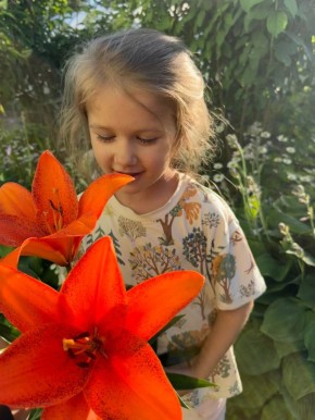 ��������� ��������� � �������: ���� ���� �� ����� �����