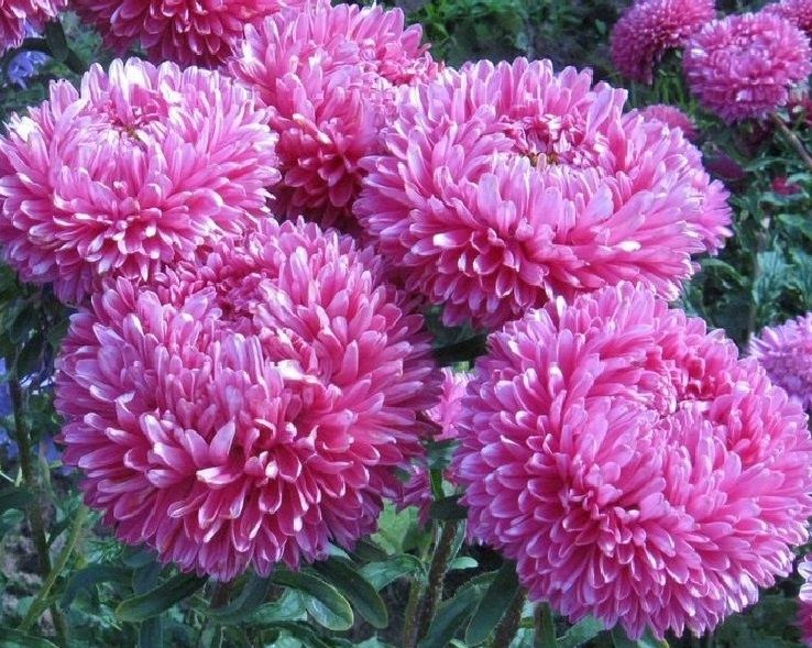 16 ���������� ������ ���� ��� ��������� ������