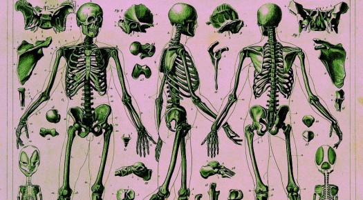 ������������ �����: ��� ��� ������ �� ���������� ������� �����?