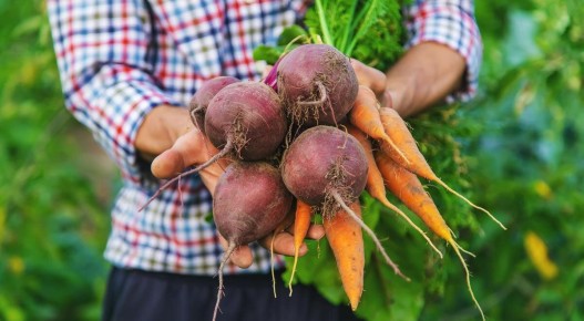 ������ � �������: ��� ������� ��������� ������� �����