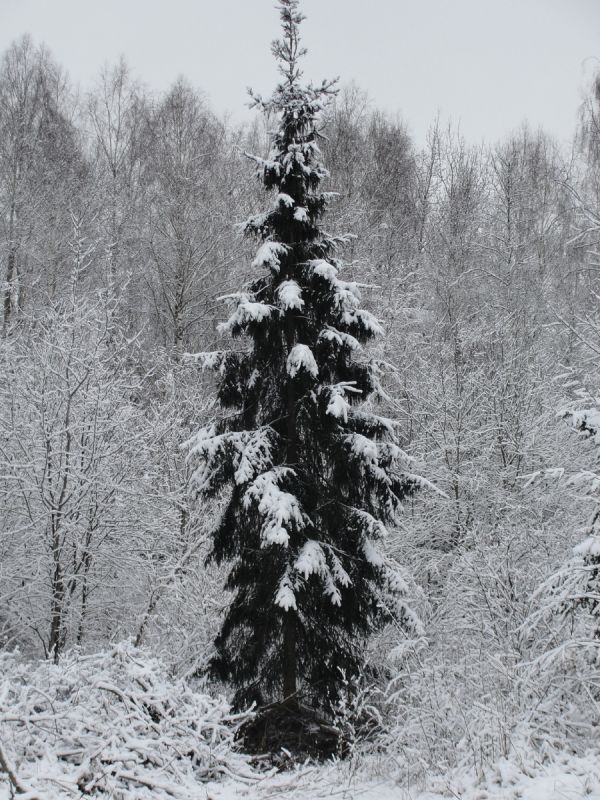 � ������ ������: ������� � ������� ������