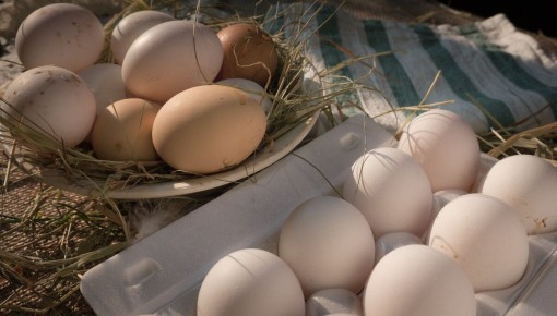 ��� �������� ���� � �������: 34 ���������� �������