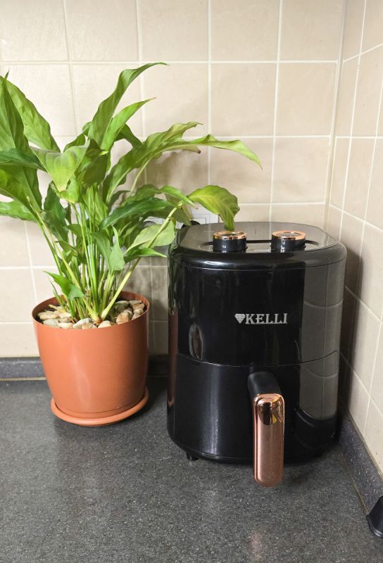 Как приготовить вкусные блюда в аэрогриле: семь проверенных рецептов