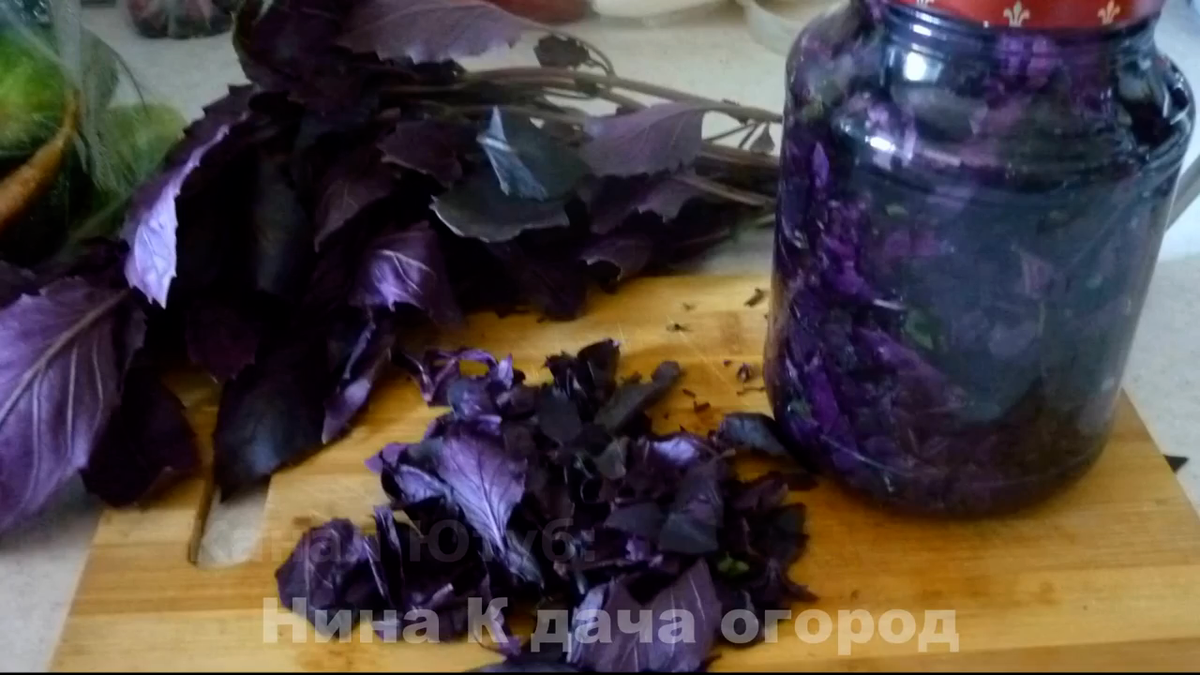 Как сохранить лето в банке: базиликовое масло для winter delights