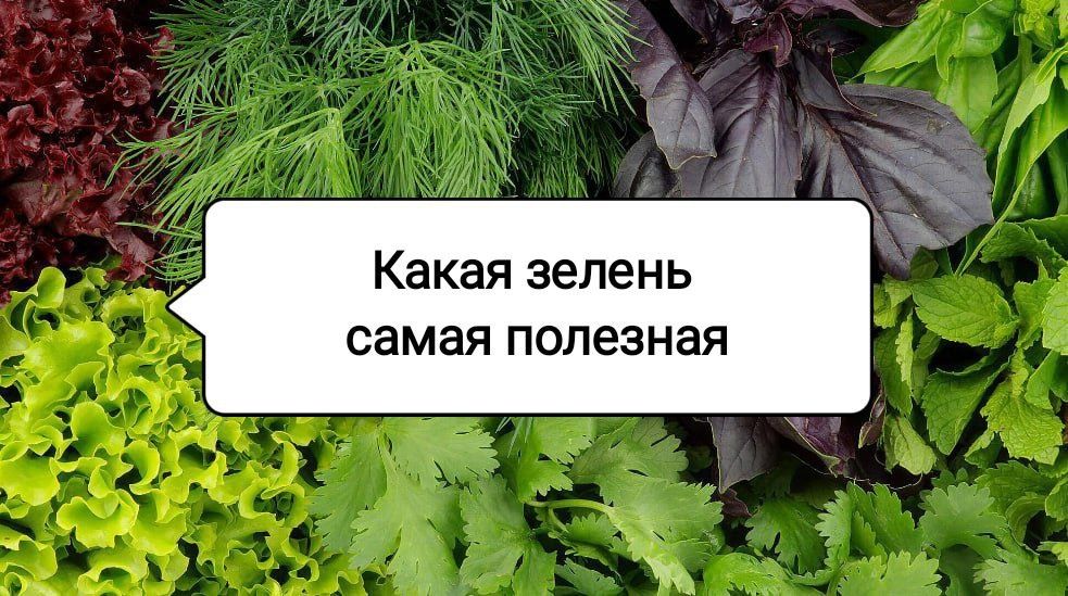 ������, ������� ������� ��� ��������: 5 ������ �����