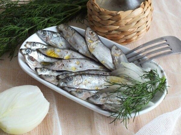 ������ � ������� �����: ������������ �������� ��� ���������������� �������������?