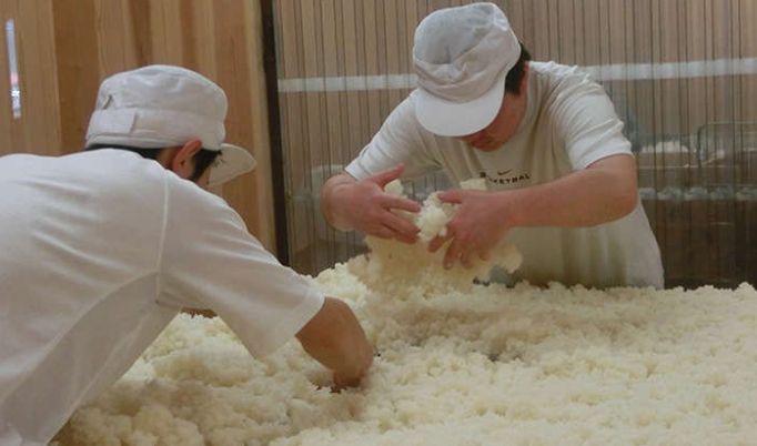 ����: ���������� � �������� ��������� ���������