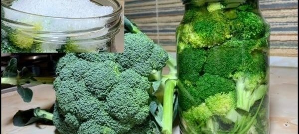 Маринованная брокколи по португальскому рецепту: практичная закуска на зиму