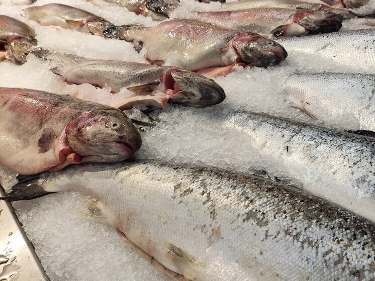 Советы Роспотребнадзора: как выбрать свежую рыбу в Новгороде