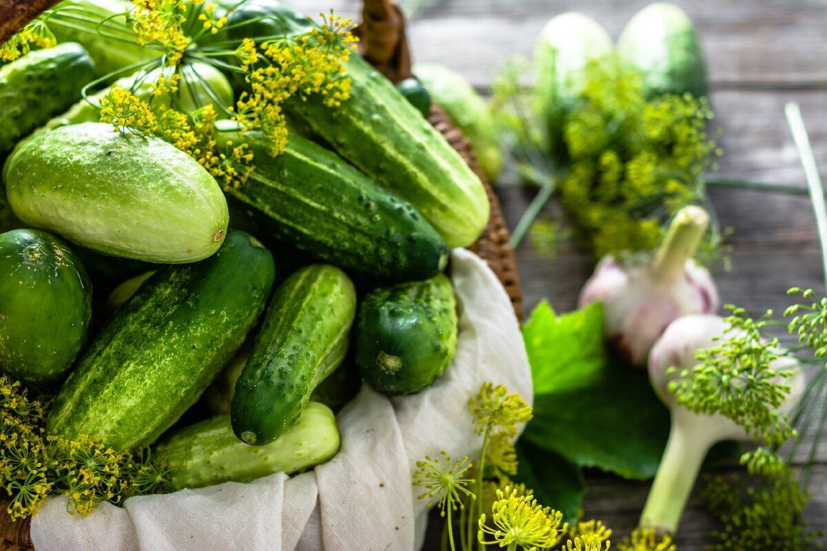 ���������� ������ ����������� �������: ����� �������� �����������