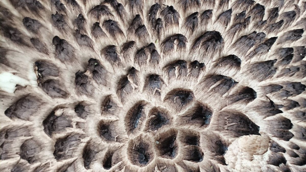 � ����� ������������� ������� ��������� ������������ ����