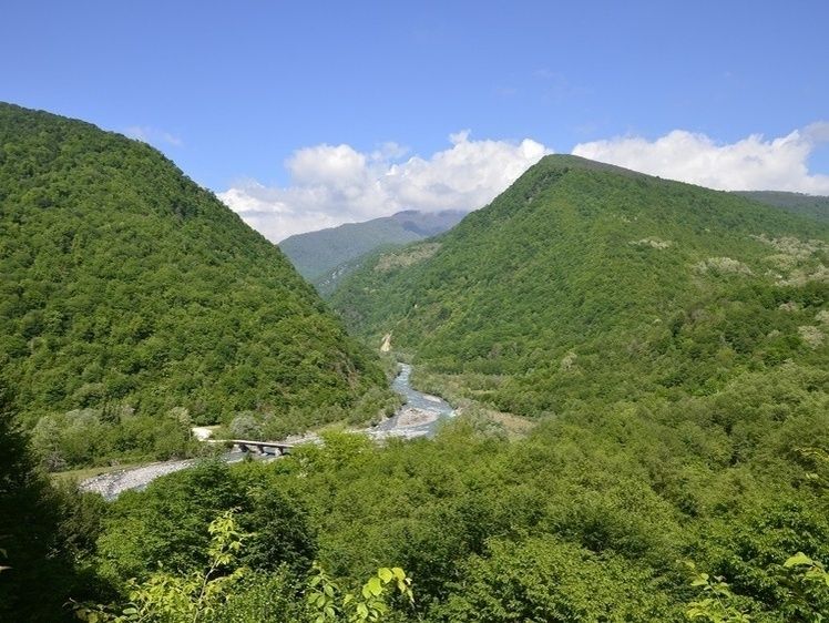 ���������� ���������