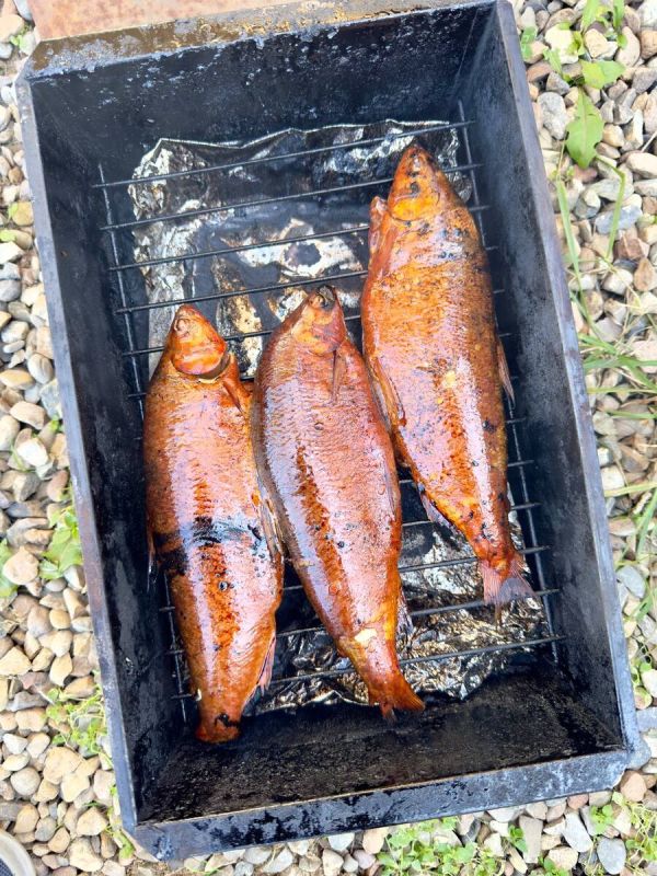 ��������� �����: ������ ��� ��� ������ ����