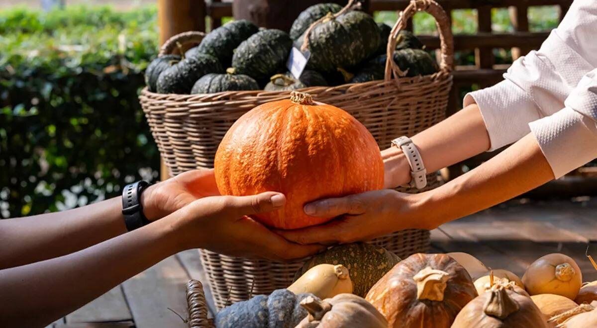 ����� � ����� �����: ��� ��������� ������� ������