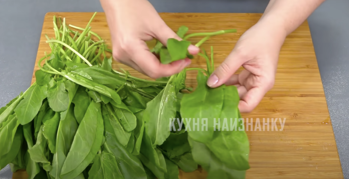 Как просто заготовить зелень на зиму: секреты хранения щавеля