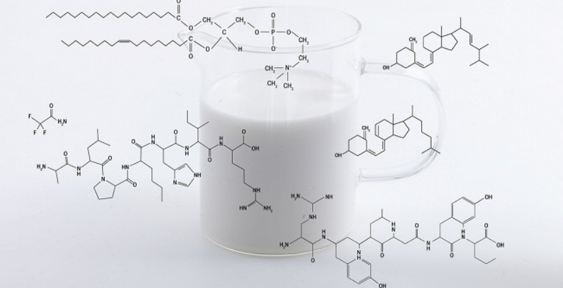 Молоко: ценный источник здоровья или неотъемлемая часть рациона?