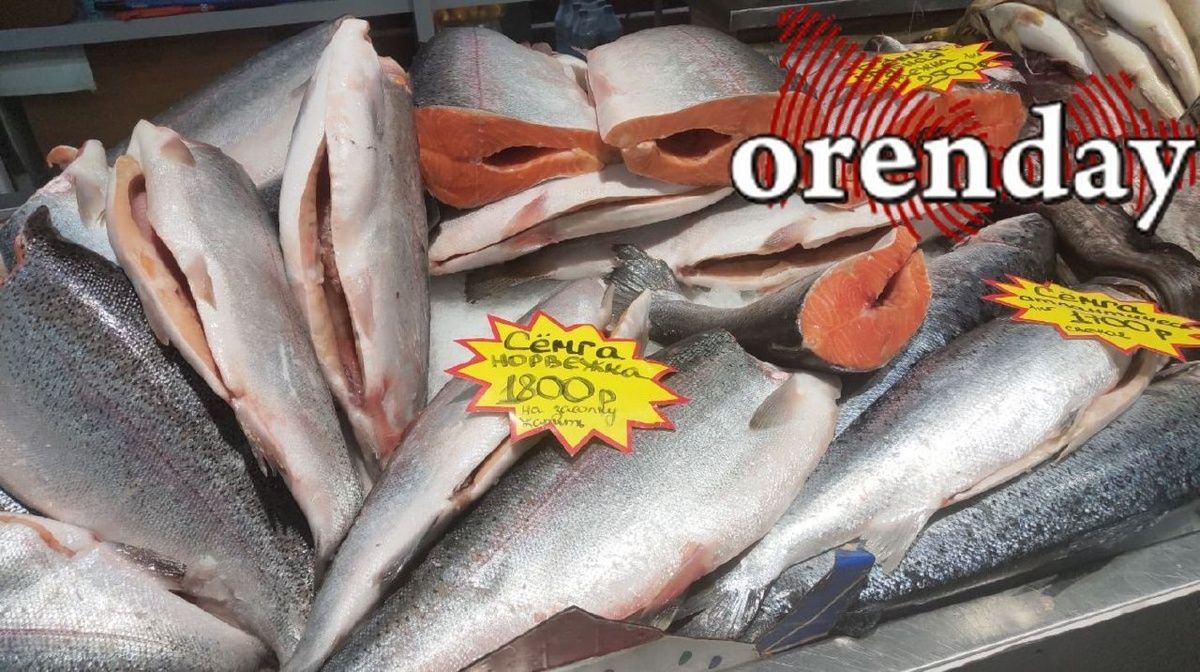 ����� ������ �� ������ �������� ��� ����������� � ����� ���?