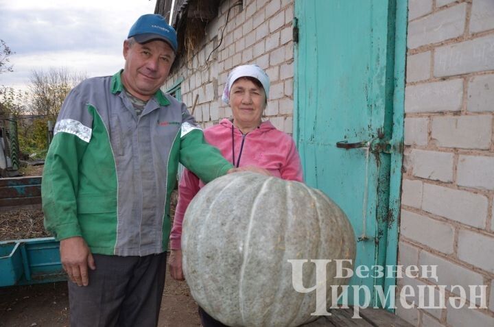 �����-������ �� ����������: ����������� ������ ����� ���������