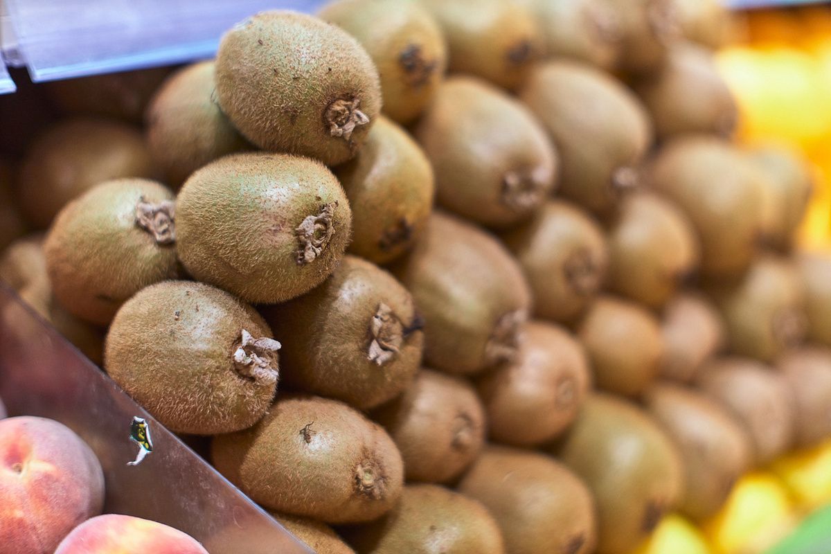 ����: ������ �������� ������ � �����������