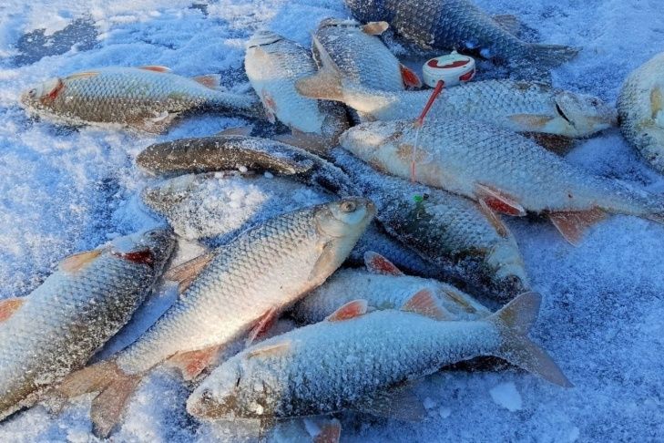 ��������� �����������: ������ ���������������� ��� ������ ������� �� ���