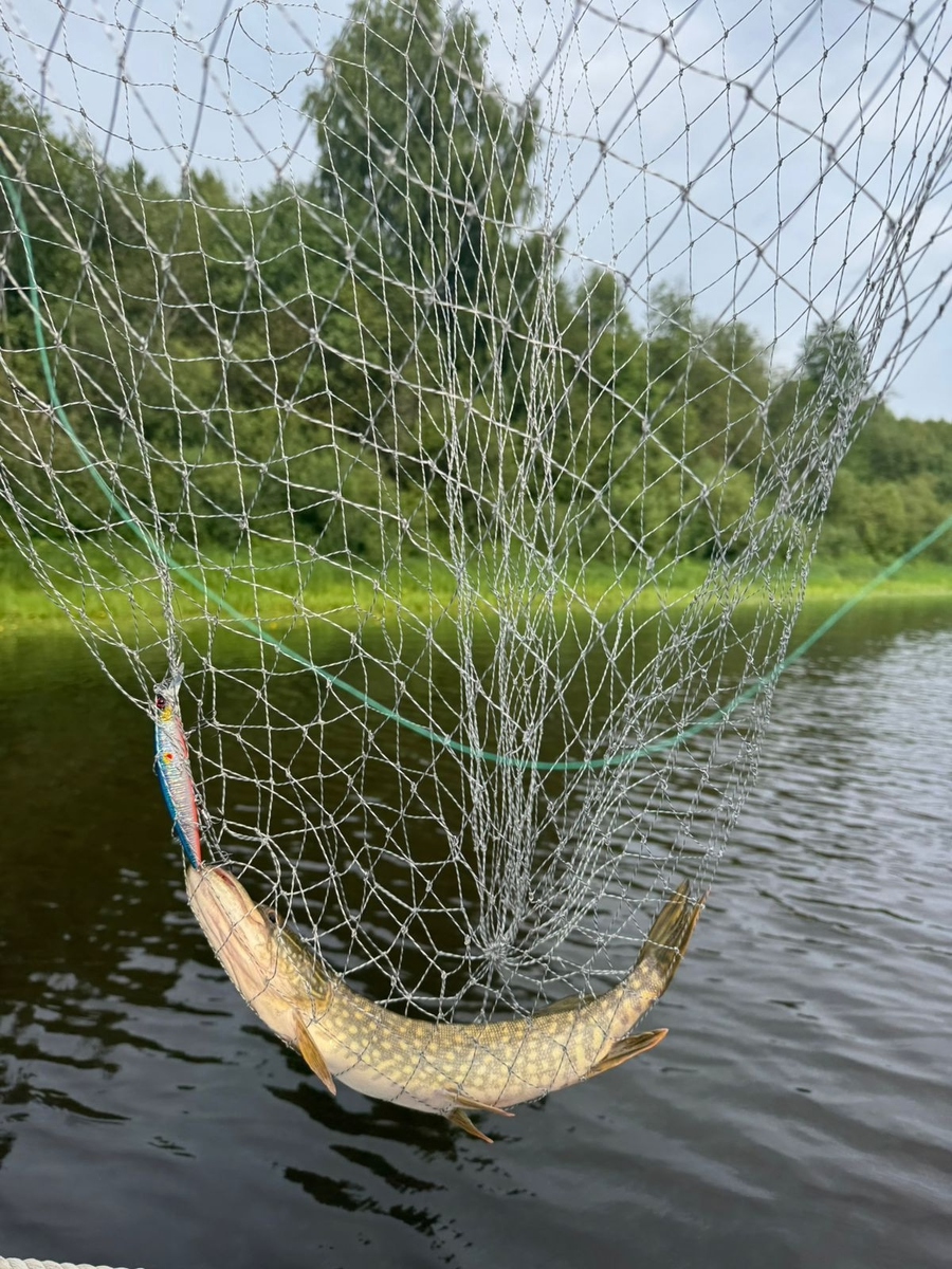 Эффективные способы экономии: как копить с удовольствием, не отказывая себе в мелочах