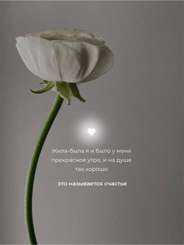 ��� ������� ��������� ����: ������� �������� ����������