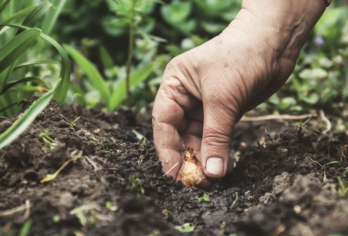 ��������: ����� ��� ������ ������ � ����