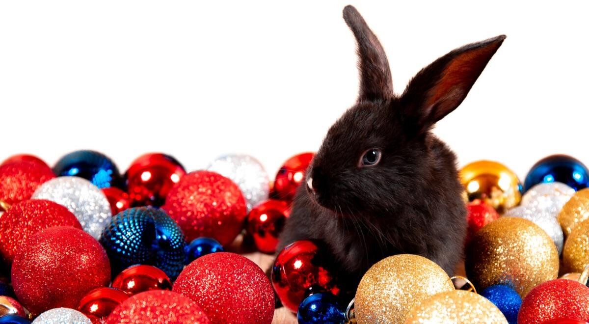 ����� � ��� �������: ������������ ������� � ���������� ��������