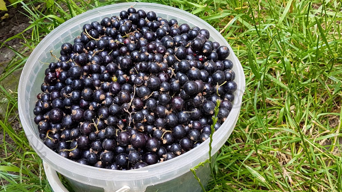 ��� ���������� ������� �������� ������� ������� ������� ������� � ��������� �������� ��������