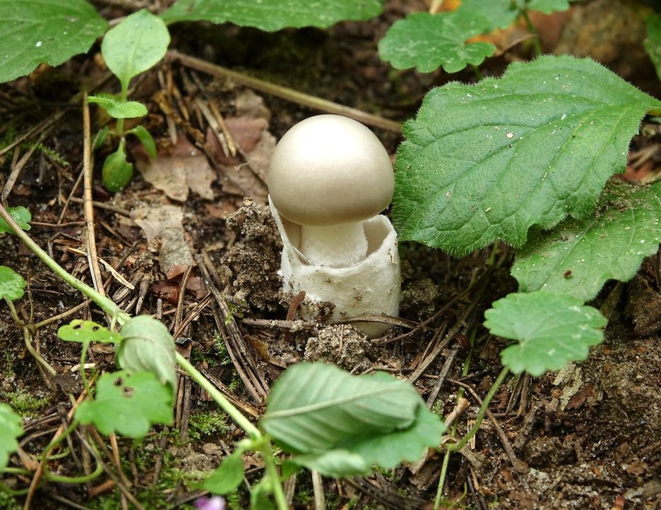 �������� ����� ����� ������ ����������: ��� ���������� � ����� �� ����� �������