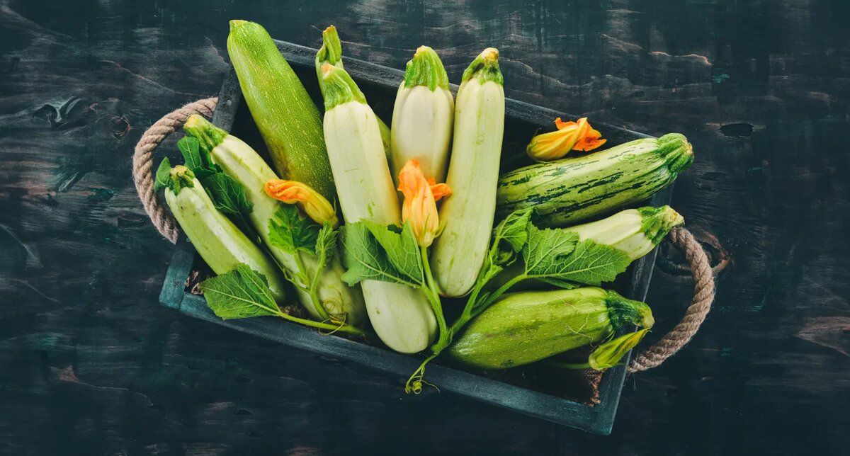 ��� ����������� ������ ������: ������� ����� � ������� �������